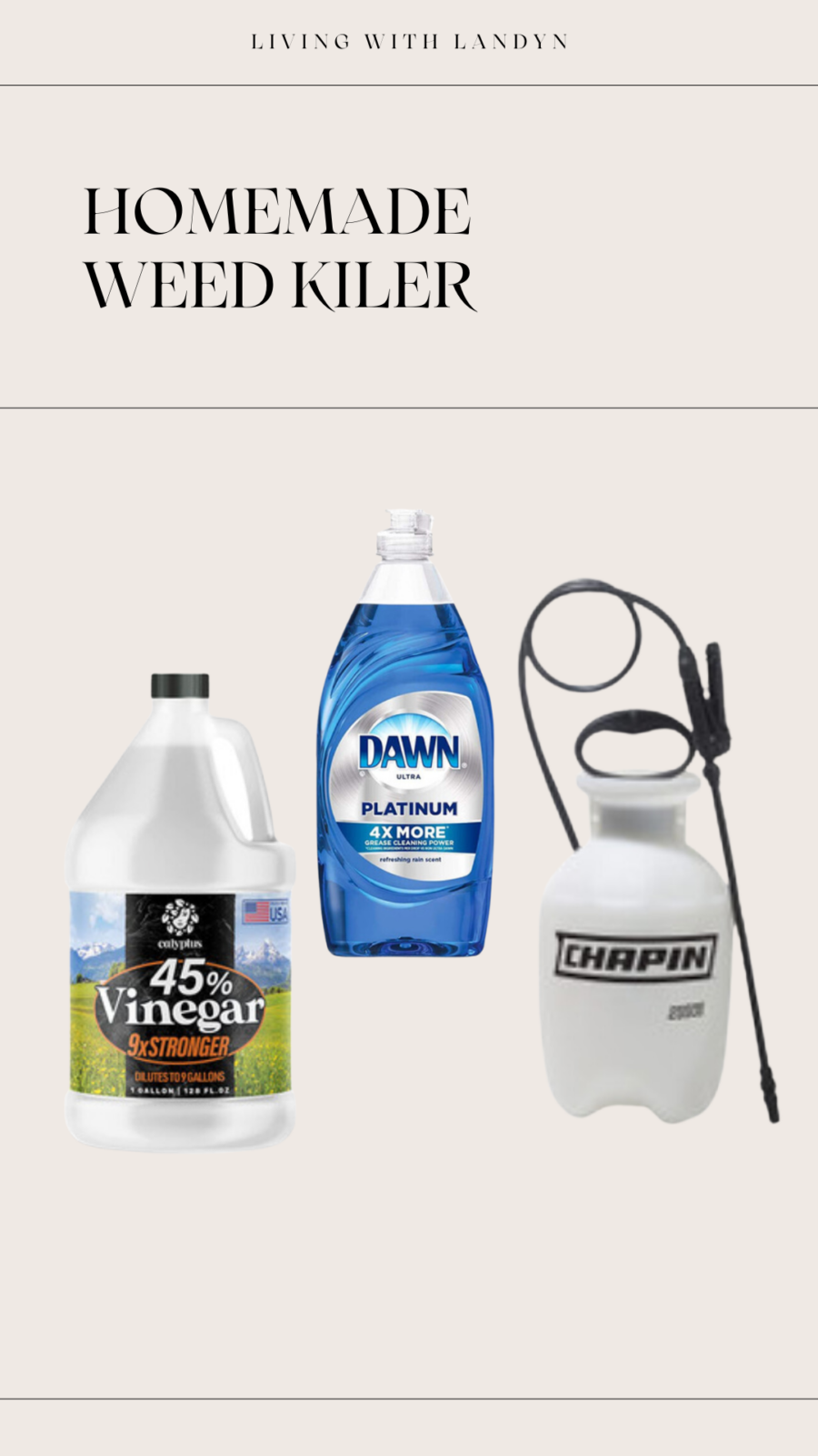 Homemade Weed Killer | Living With Landyn